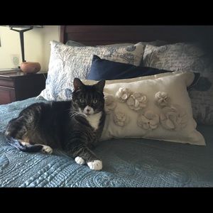 Meet your Posher, Lori